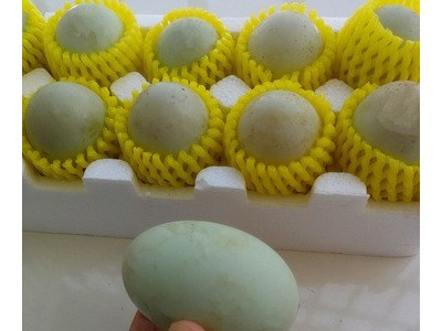 新鲜生海鸭蛋20*65g本公司北海七星岛红树林基地散养直发一件代发图5