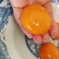 新鲜生海鸭蛋20*65g本公司北海七星岛红树林基地散养直发一件代发