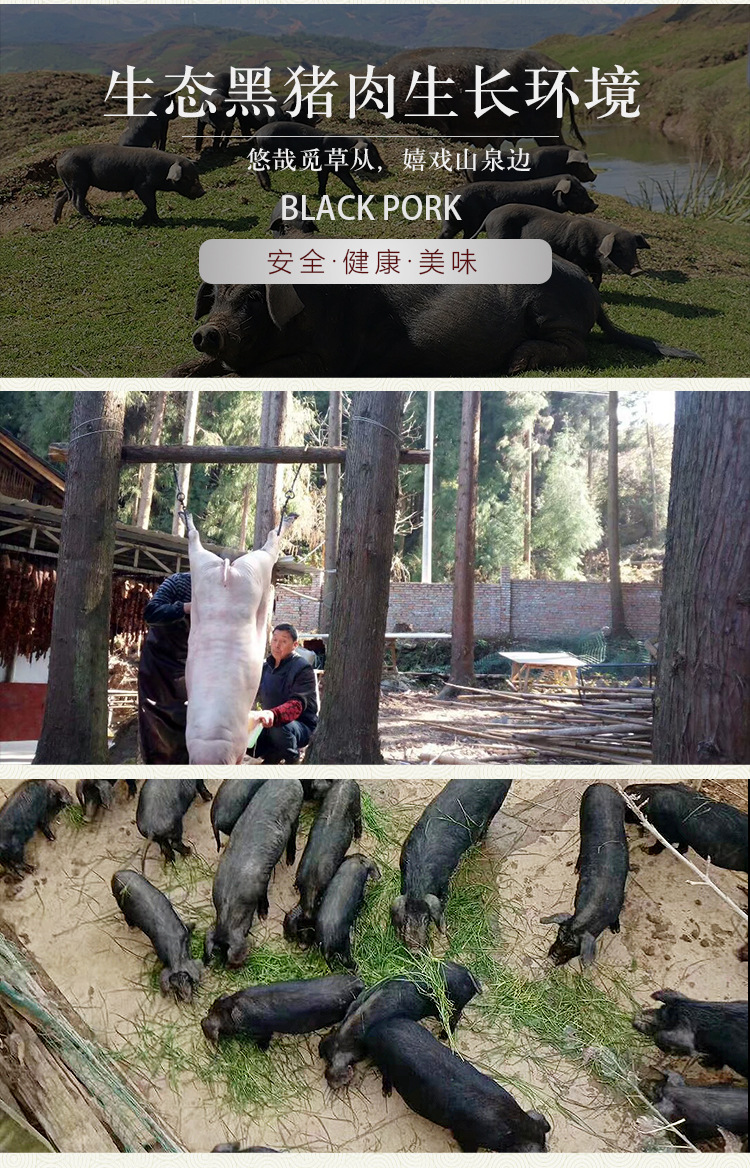 详情_03.jpg