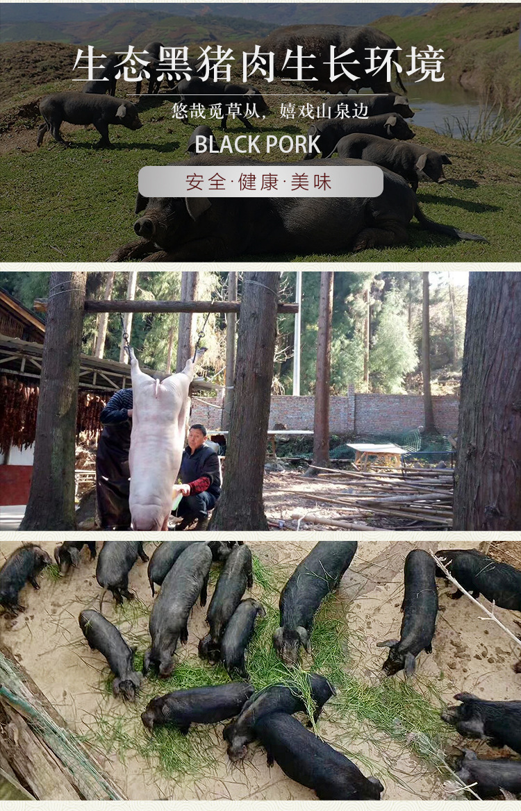 详情_03.jpg