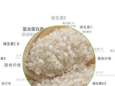 寿司食品原料大米冰原小镇寿司米东北珍珠香粳米包装日本大米批发图4