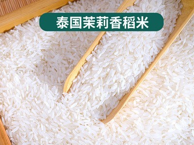 泰北尊泰国香米5斤原粮进口茉莉香米2.5kg长粒米源头厂家大米批发图2