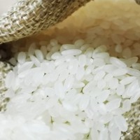 礼盒装长粒香软糯本味大米 东北黑龙江农场黑土地稻米