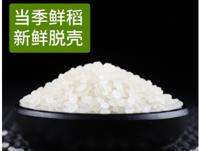 东北大米珍珠米厂家批发 10斤袋装大米人工种植圆粒黑龙江粳米图2