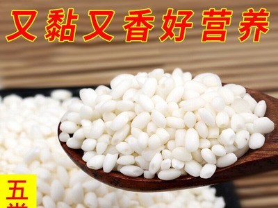 趣农夫五常粘大米5kg白色圆粒糯米农家自产粽子米杂粮厂家直批图4