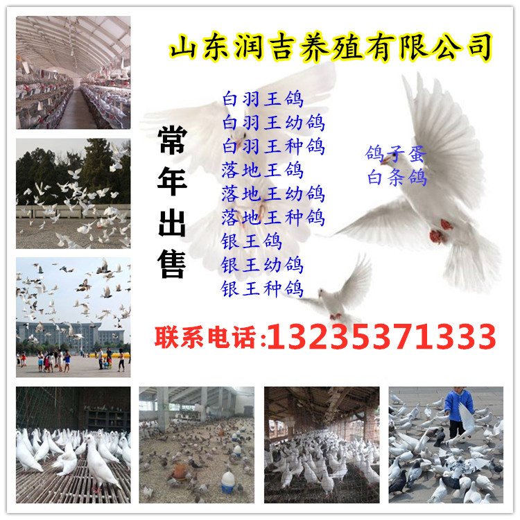 initpintu_副本_副本