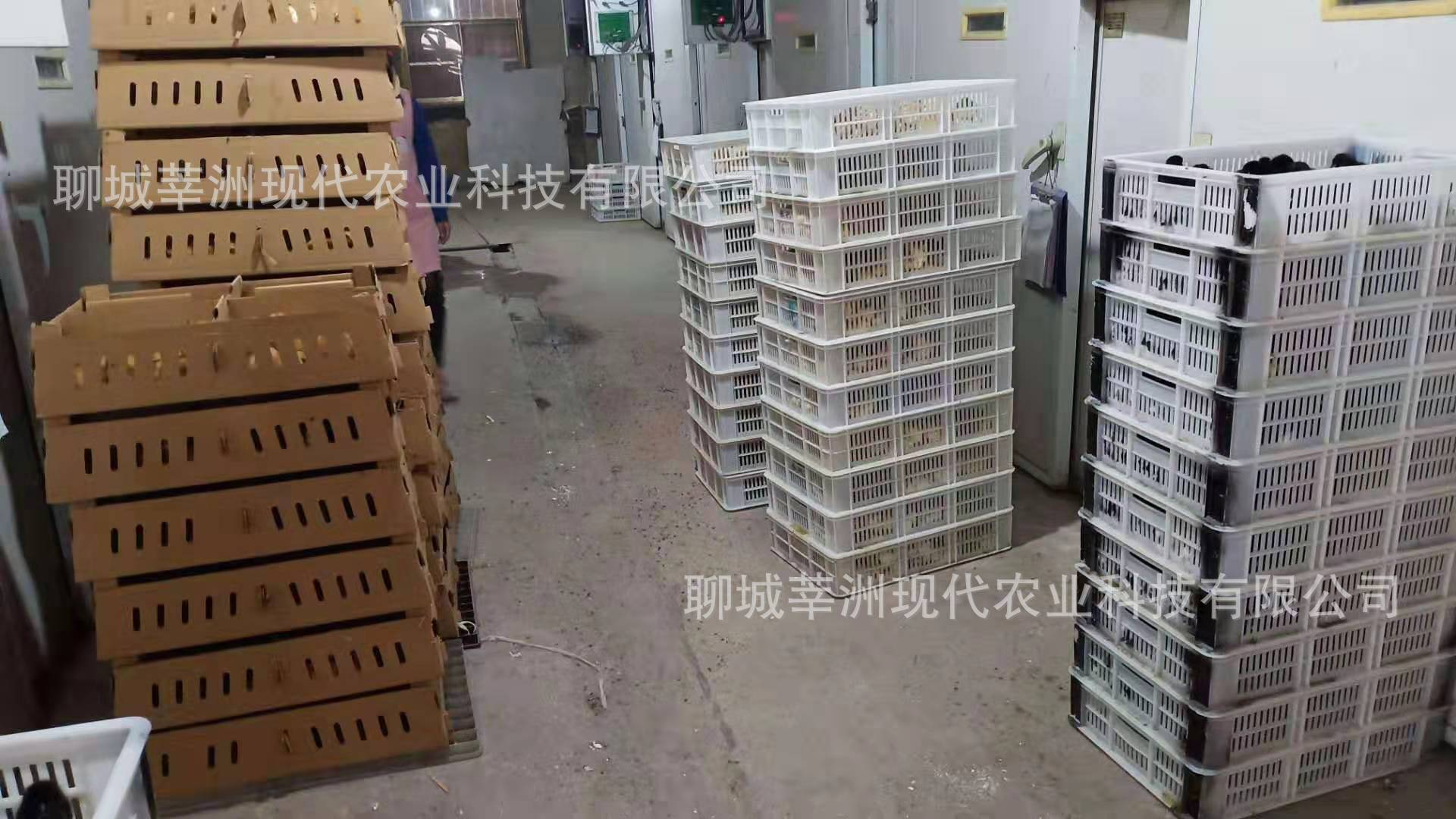 微信图片_20191029220114