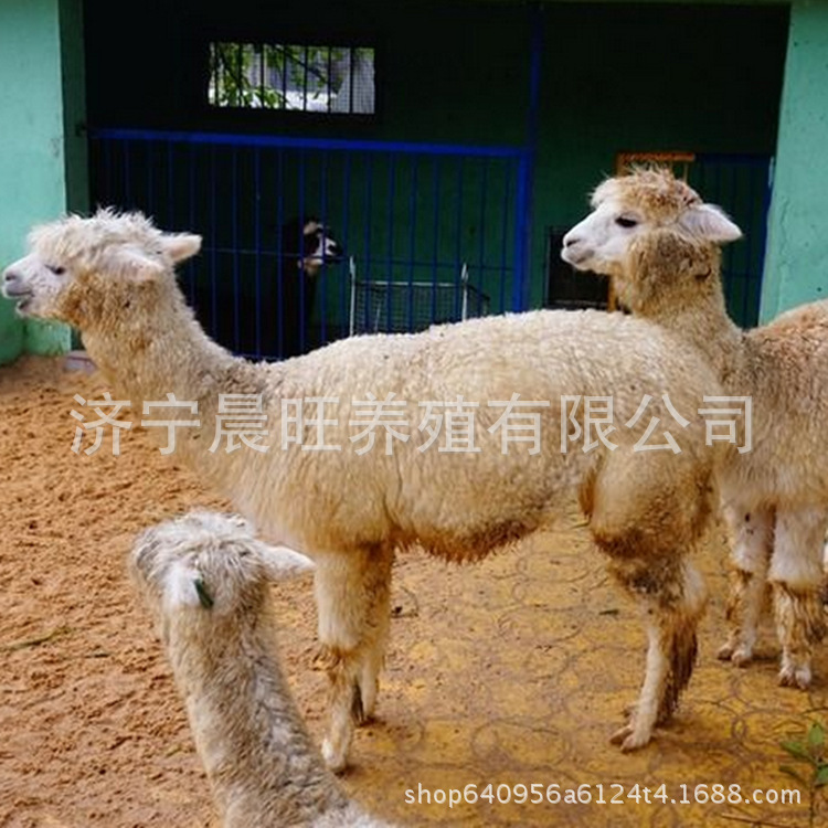 图片201703151646_副本.jpg