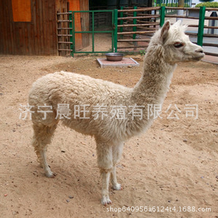 图片201703151740_副本.jpg