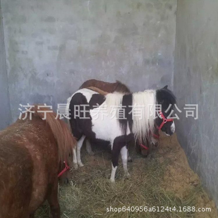 图片20170709191541_副本.jpg