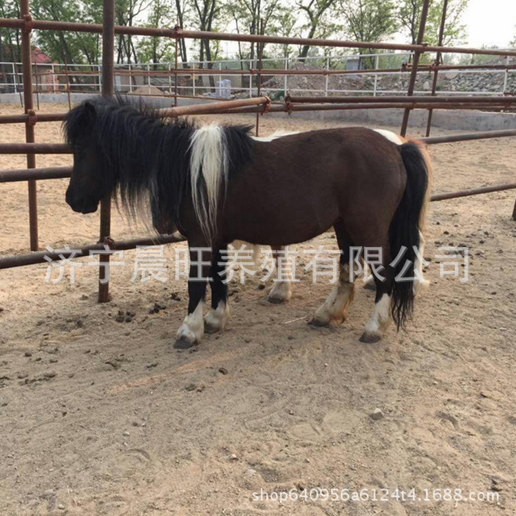 图片20170709202343_副本.jpg