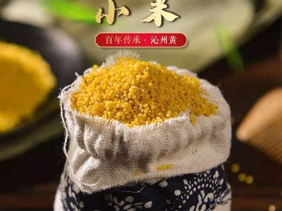 山西特产沁州黄小米500g图3