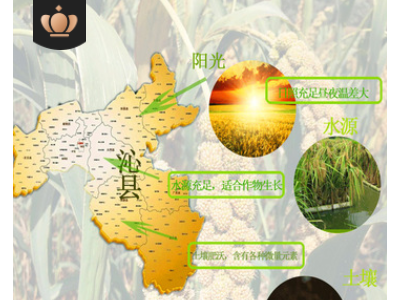 沁州黄小米2.5Kg现磨厂家直发批发山西特产月子食用小黄米图5