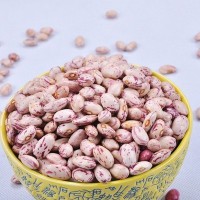 粒粒道内蒙古农家有机芸豆 敖汉五谷杂粮 花芸豆 厂家批发