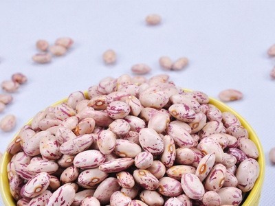 粒粒道内蒙古农家有机芸豆 敖汉五谷杂粮 花芸豆 厂家批发图5