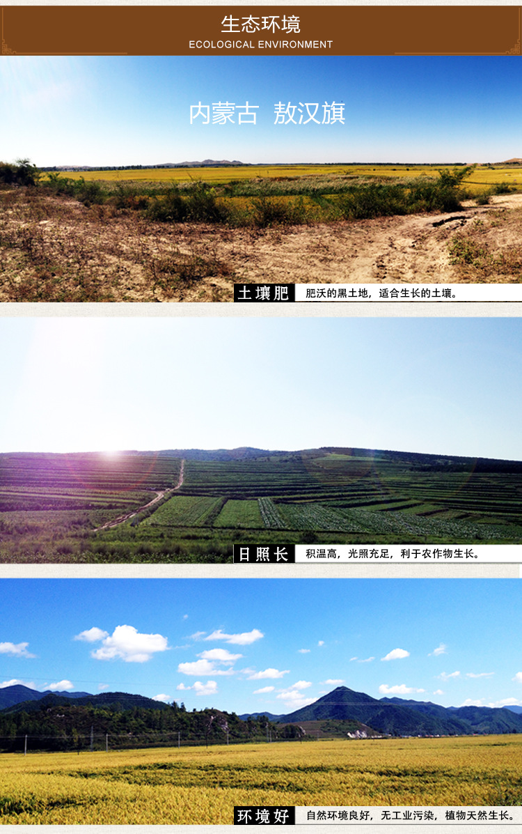 红小豆详情修改_04.jpg