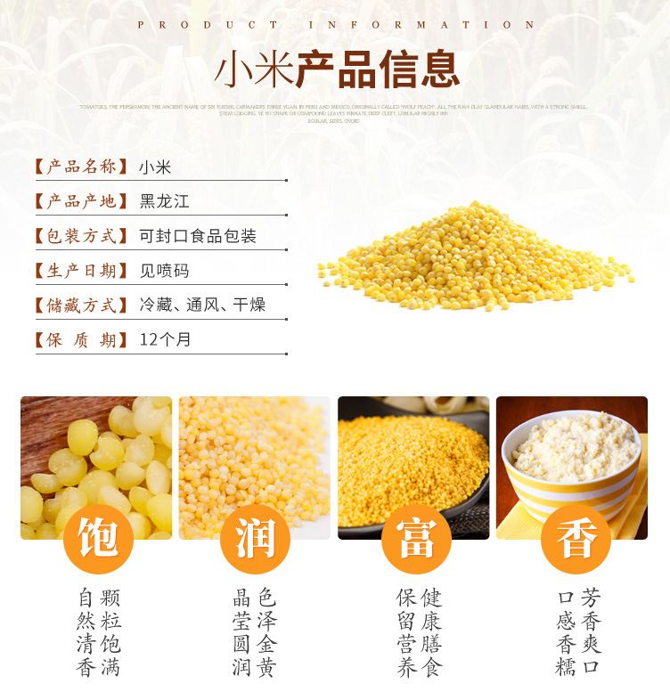 小米_02.jpg