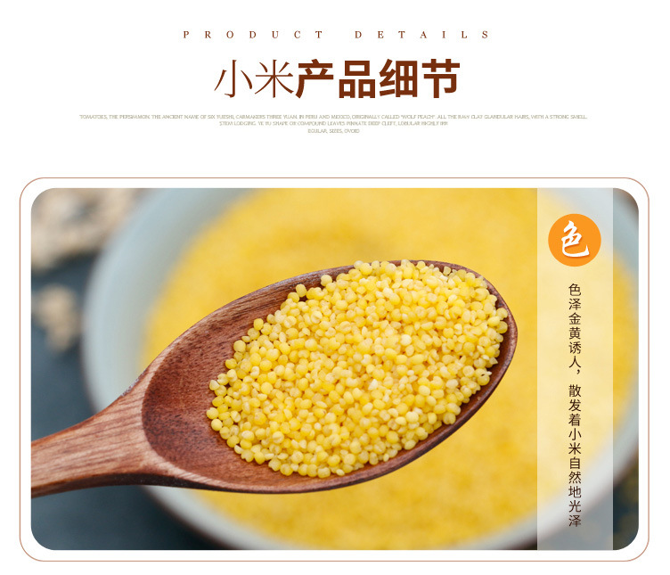 小米_04.jpg