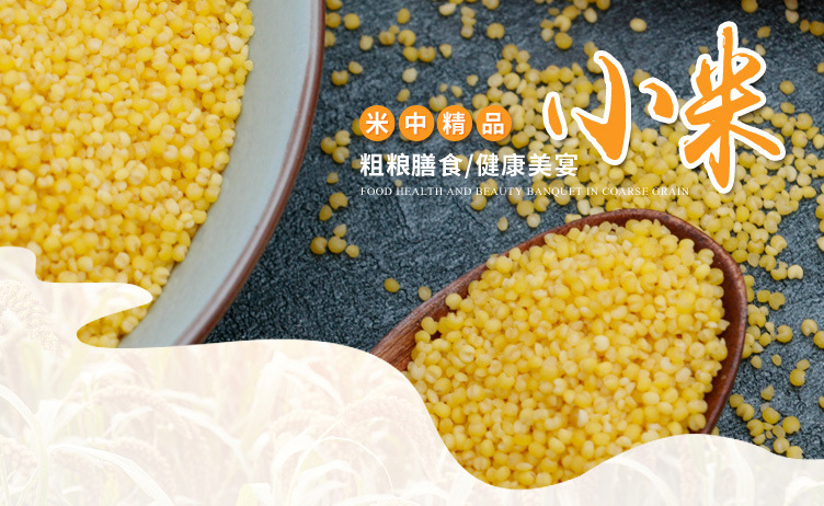 小米_01.jpg