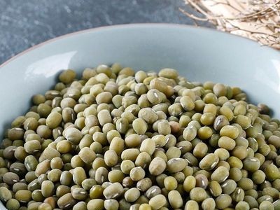 毛绿豆现货 绿豆糕绿豆沙原材料500克 25kg绿豆散装代发散装图3