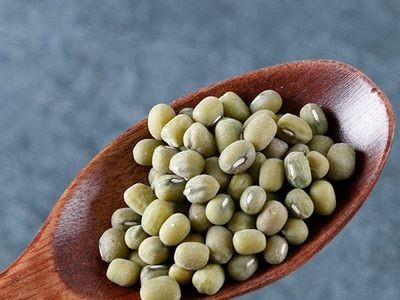 毛绿豆现货 绿豆糕绿豆沙原材料500克 25kg绿豆散装代发散装图4