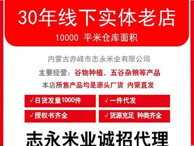 厂家直发加工赤峰黄小米五谷杂粮东北品牌乐土金苗小米25kg装图2