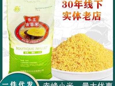 厂家直发加工赤峰黄小米五谷杂粮东北品牌乐土金苗小米25kg装图5
