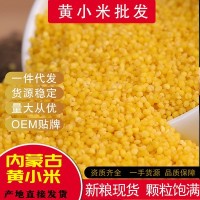 现货批发乐土黄小米赤峰金苗米杂粮粥小黄米新米月子米宝宝米