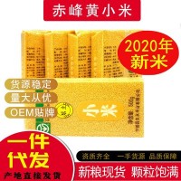 乐土新米内蒙古赤峰小米黄小米大金苗月子米吃的杂粮5斤真空