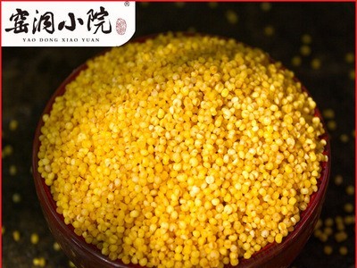 【窑洞小院]陕北米脂黄小米新米小黄米500克 农家吃的小米粥杂粮图3