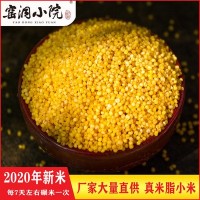 【窑洞小院]陕北米脂黄小米新米小黄米500克 农家吃的小米粥杂粮