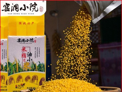 【窑洞小院]陕北米脂黄小米新米小黄米500克 农家吃的小米粥杂粮图2