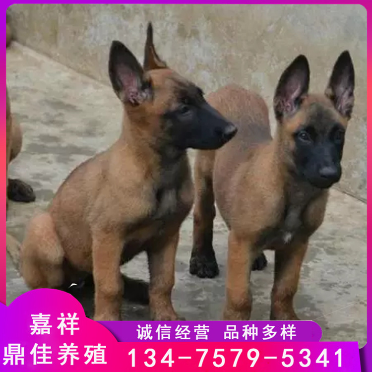 A314BCB3-6D73-464f-9248-115BA5