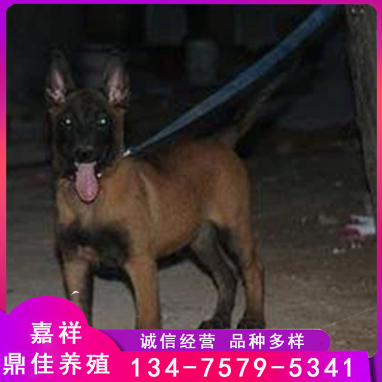 A54B8E79-E720-4510-832F-A07D1E
