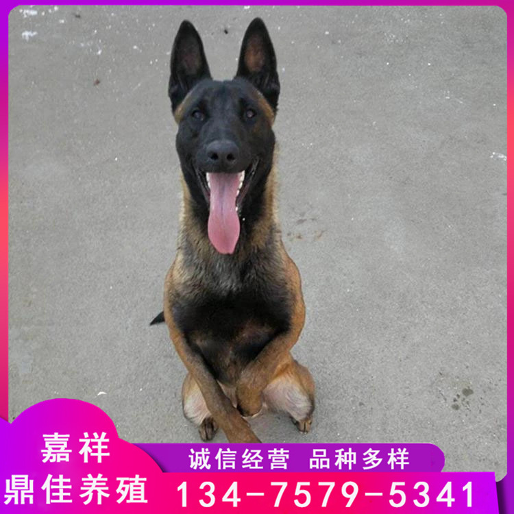 34154668-2DA9-4054-9686-2C8E9B