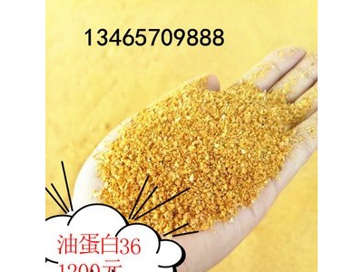 蛋白粉 饲料级蛋白粉 优质蛋白饲料 厂家直销图2