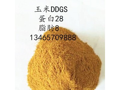 蛋白粉 饲料级蛋白粉 优质蛋白饲料 厂家直销图5