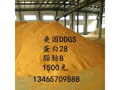 蛋白粉 饲料级蛋白粉 优质蛋白饲料 厂家直销图3