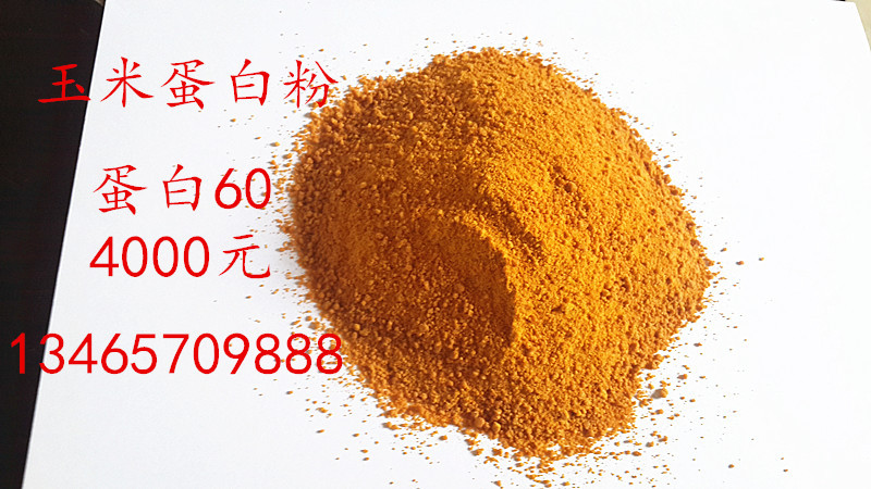 21_副本