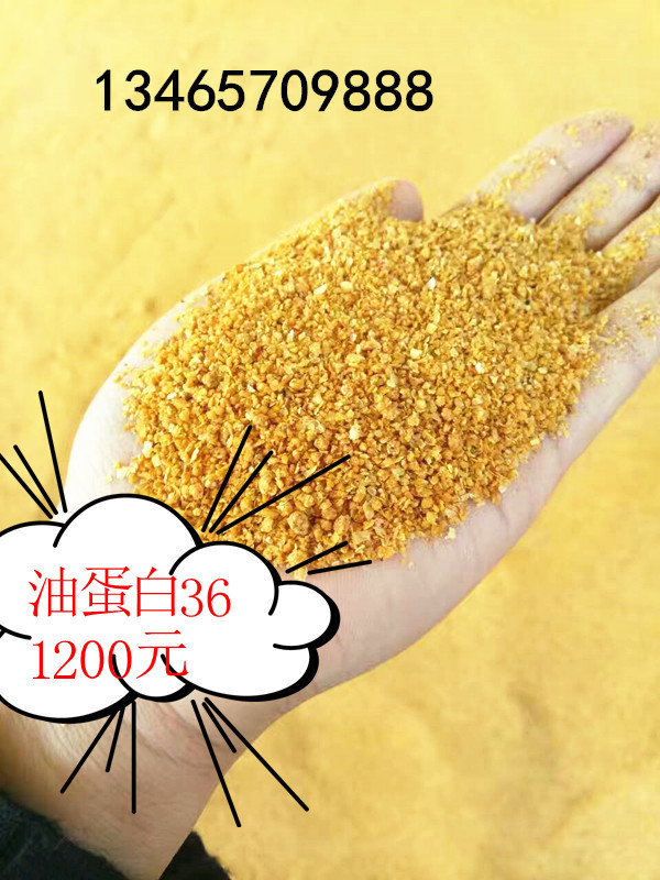26_副本