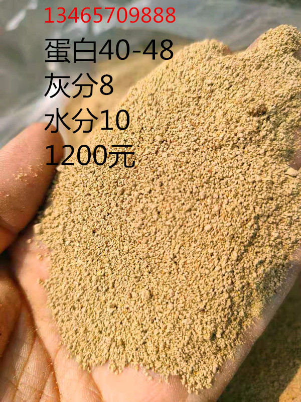 微信图片_20190711141435_副本