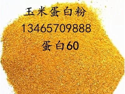 优质DDGS饲料 蛋白高脂肪酒糟 颜色金黄色 酒香味 玉米蛋白渣淀图4