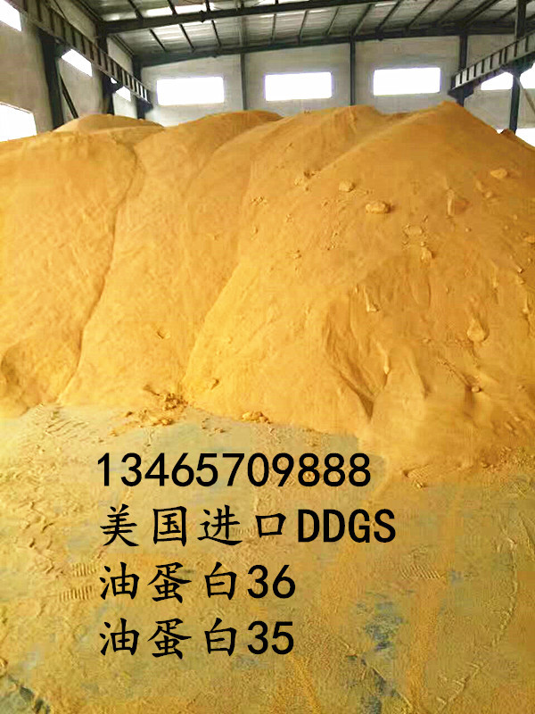 24_副本