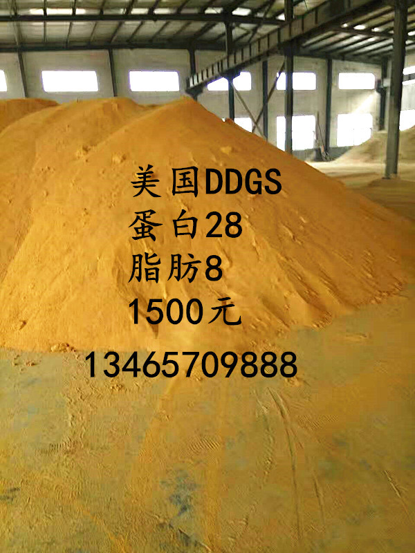 25_副本