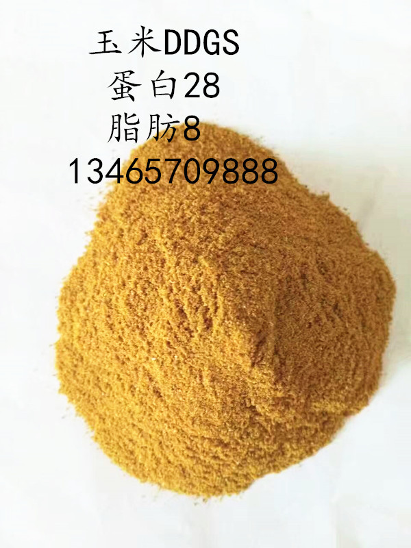 23_副本