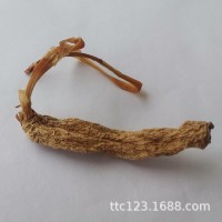 仿野生天麻特产大个天麻 滋补营养产地非东北长白山天麻批发代发
