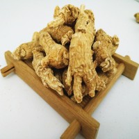 东北长白山西洋参整枝 吉林西洋参段 西洋参