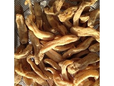 岳西县原产天麻 规格齐全健康天麻 可切天麻片中药材批发图2
