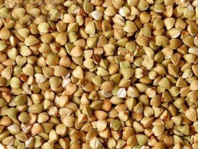 产地直销 100斤/袋甜荞麦、食品荞麦、烧酒荞麦 运费到付图2