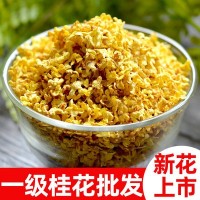 桂花茶批发散装干桂花 花草茶厂家 广西桂林精心选桂花250克500克